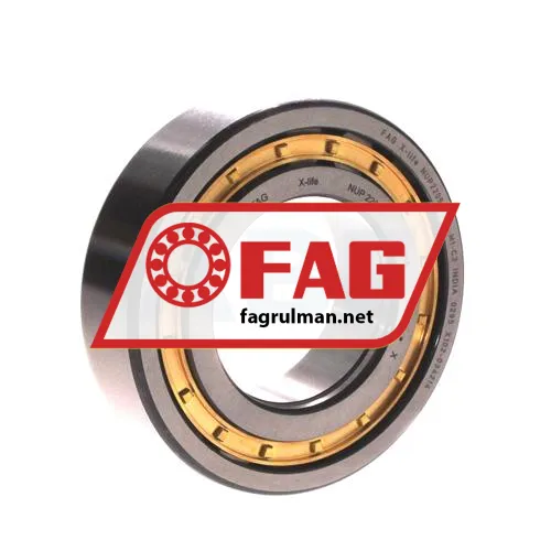 FAG NUP2209-E-XL-M1-C3