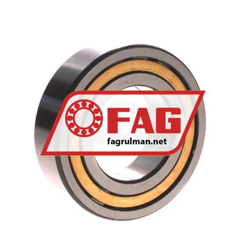 FAG NUP2209-E-XL-M1-C3 ürün fotoğrafı 2
