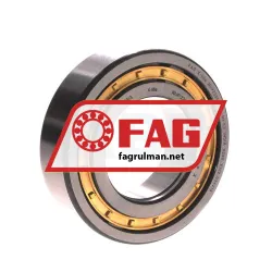 FAG NUP2209-E-XL-M1-C3