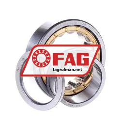 FAG NUP2209-E-XL-M1 rulman resim 2