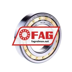 FAG NUP210-E-XL-M1-C3