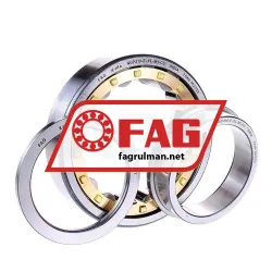 FAG NUP210-E-XL-M1-C3 rulman resim 2