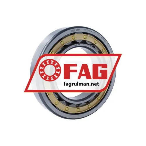 FAG NU219-E-XL-M1-F1-C3