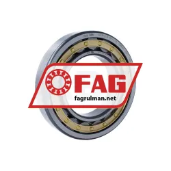 FAG NU219-E-XL-M1-F1-C3