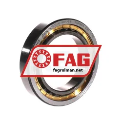 FAG NU1012-XL-M1A-C3