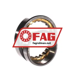 FAG NU1012-XL-M1A-C3 rulman resim 3