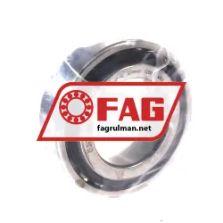 FAG N1006-D-K-TVP-SP-XL