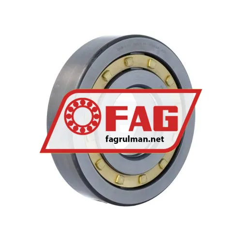 FAG NUP413-XL-M1