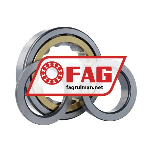 FAG NUP319-E-XL-M1-F1-C4
