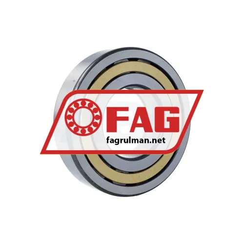FAG NUP319-E-XL-M1-F1-C4 ürün fotoğrafı 3