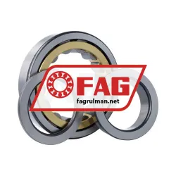 FAG NUP319-E-XL-M1-F1-C4