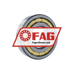 FAG NUP319-E-XL-M1-F1-C4 rulman resim 2