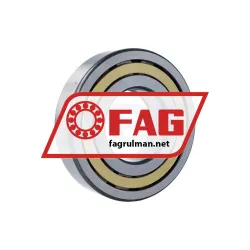 FAG NUP319-E-XL-M1-F1-C4 rulman resim 3