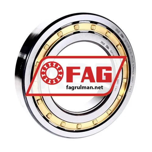FAG NUP218-E-XL-M1-C3