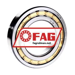 FAG NUP218-E-XL-M1-C3