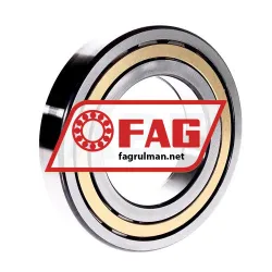 FAG NUP218-E-XL-M1-C3 rulman resim 3