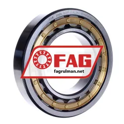 FAG NU220-E-XL-M1