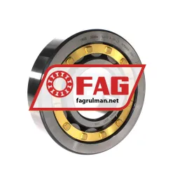 FAG NJ413-XL-M1-C3