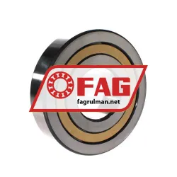 FAG NJ413-XL-M1-C3 rulman resim 2