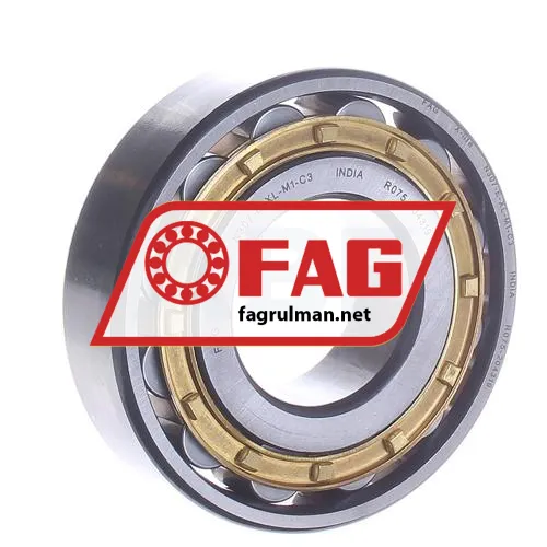 FAG N307-E-XL-M1-C3