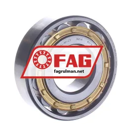 FAG N307-E-XL-M1-C3