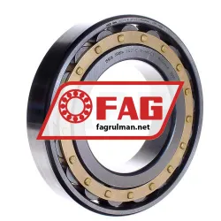 FAG N221-E-XL-M1-C3