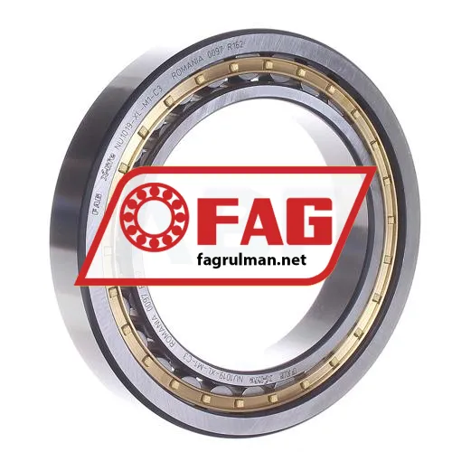 FAG NU1019-XL-M1-C3