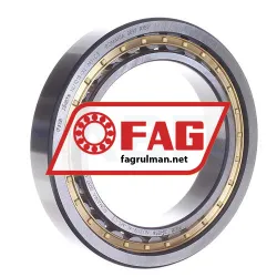 FAG NU1019-XL-M1-C3