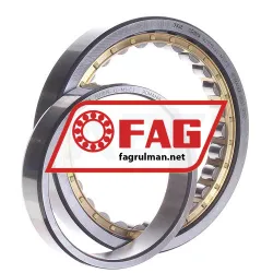 FAG NU1019-XL-M1-C3 rulman resim 2