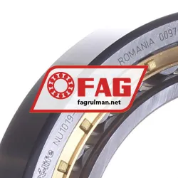 FAG NU1019-XL-M1-C3 rulman resim 3