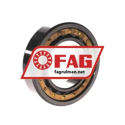 FAG NJ210-E-XL-M1-C3