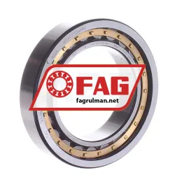FAG NU1010-XL-M1