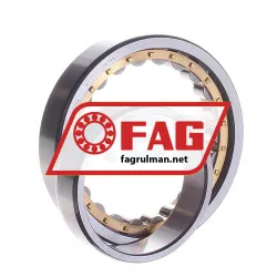 FAG NU1010-XL-M1 rulman resim 2