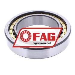 FAG NU1010-XL-M1 rulman resim 3