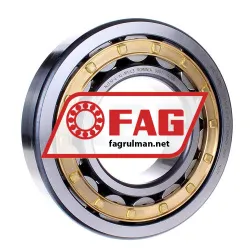 FAG NJ319-E-XL-M1-C3