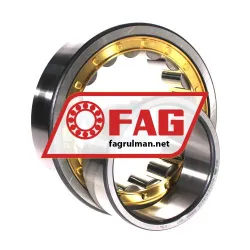 FAG NU2220-E-XL-M1A-C3 rulman resim 3