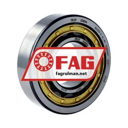 FAG NU309-E-XL-M1