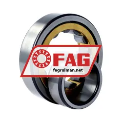 FAG NU309-E-XL-M1 rulman resim 3