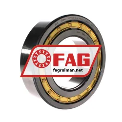 FAG NUP2220-E-XL-M1-C3
