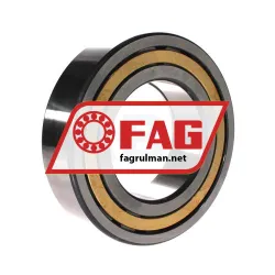 FAG NUP2220-E-XL-M1-C3 rulman resim 2