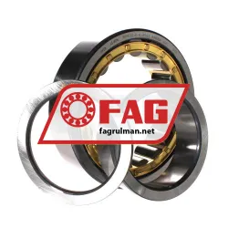 FAG NUP2220-E-XL-M1-C3 rulman resim 3