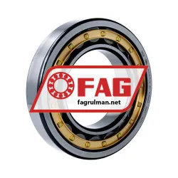 FAG NU219-E-XL-M1