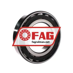 FAG N220-E-XL-TVP2 rulman resim 3