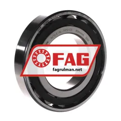 FAG N213-E-XL-TVP2-C3