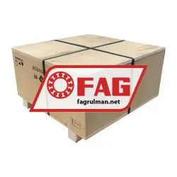 FAG NJ256-E-M1A