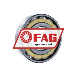 FAG N316-E-XL-M1-C3