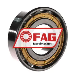FAG N311-E-XL-M1