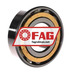 FAG N311-E-XL-M1 rulman resim 2