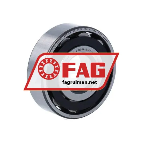 FAG N304-E-XL-TVP2