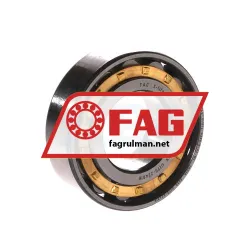 FAG N205-E-XL-M1